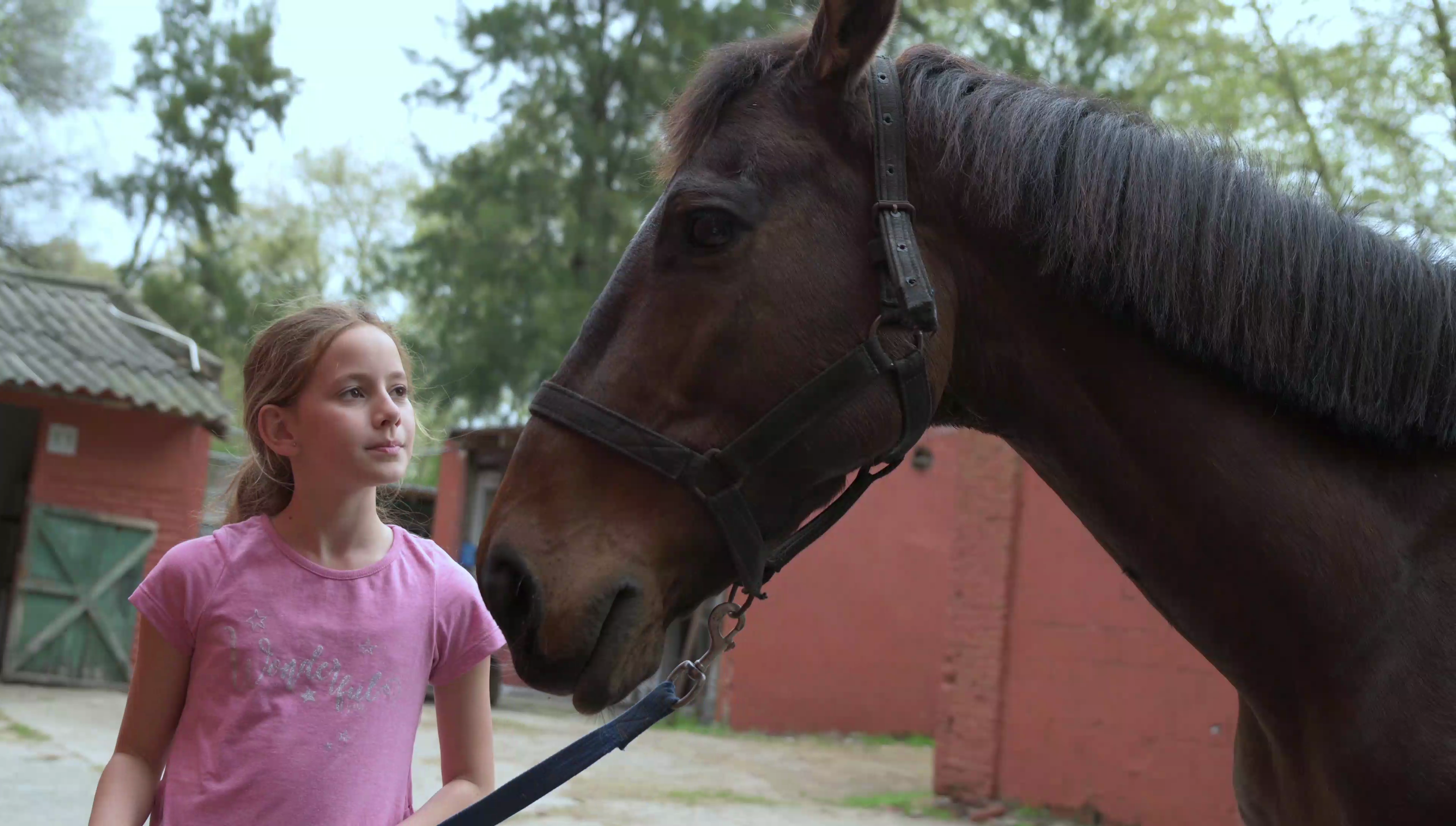 Caballo de Tacho